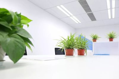 全行業應對家具新時代的最大特征:微利
